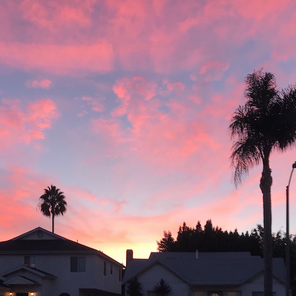 Meet your Posher, Yakira